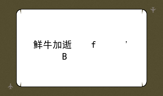 鲜牛加速器安全吗