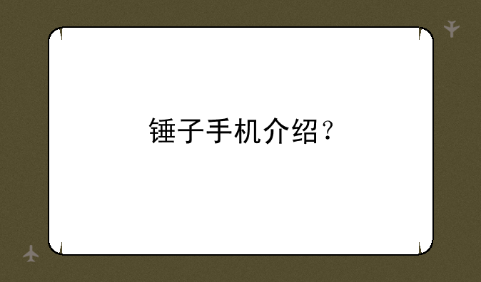 锤子手机介绍？