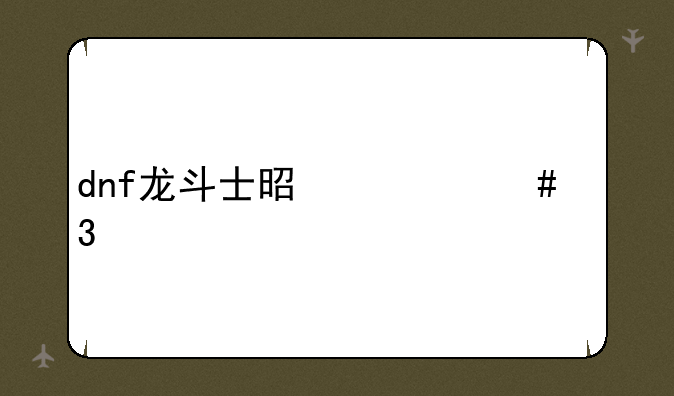 dnf龙斗士是什么职业