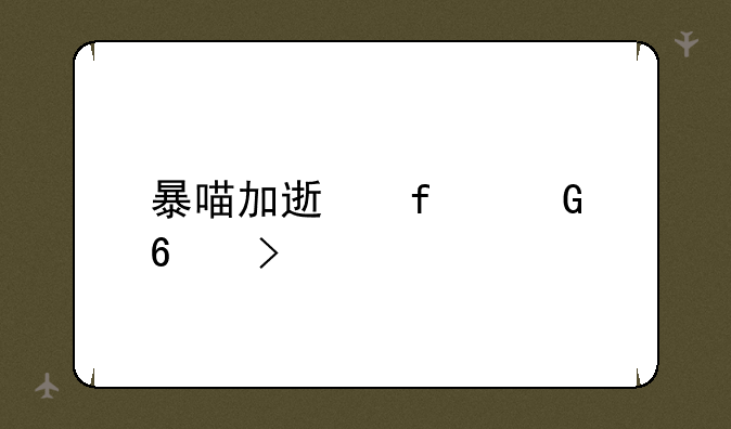 暴喵加速器兑换口令