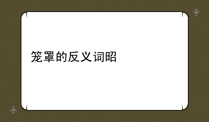 笼罩的反义词是什么