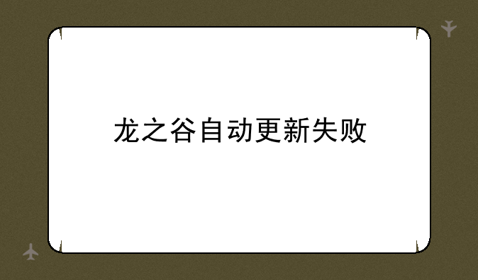 龙之谷自动更新失败