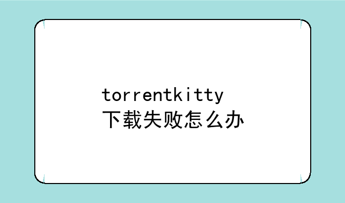 torrentkitty下载失败怎么办