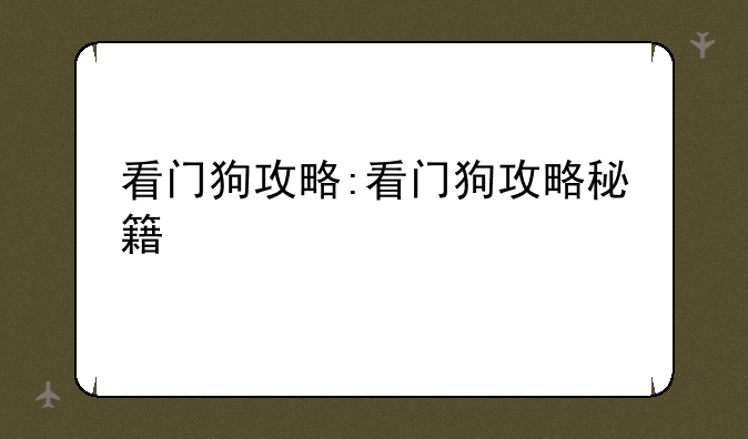 看门狗攻略:看门狗攻略秘籍
