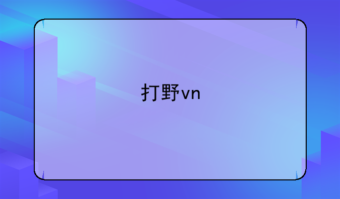 打野vn